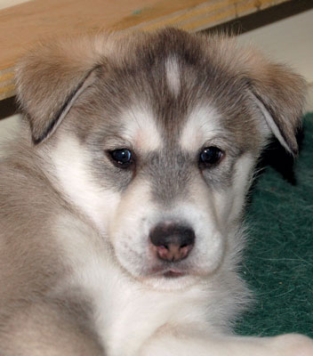 So cute!
