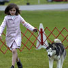 Ali showing Ben at the 2006 Yankee Siberian Husky Club Specialty Show in juniors.