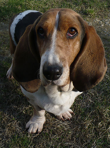 Beth at 7.5 years old.