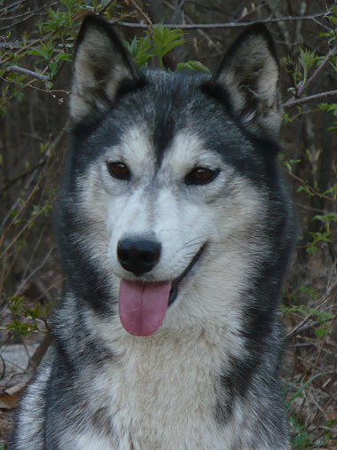 Circe at 4 years old.