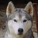 Darwin at 2.5 years of age.