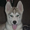 Darwin at 14 weeks old.