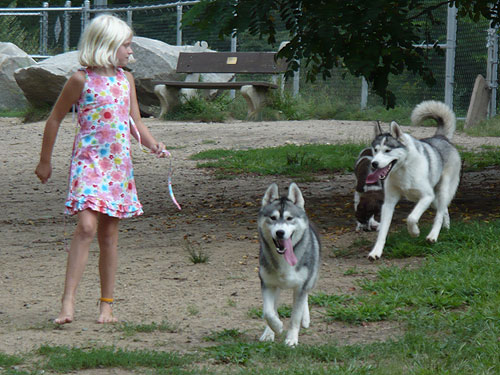Running a round with their new friend named Flower. Yes, the girl is barefoot at the dog park!