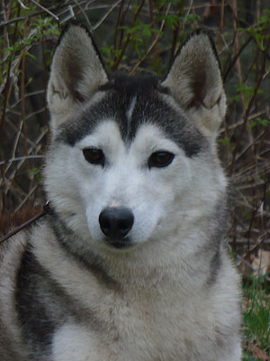 Lance at 2 years old.