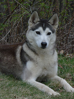 Lance at 2 years old.