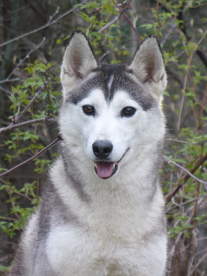 Lance at 2 years old.