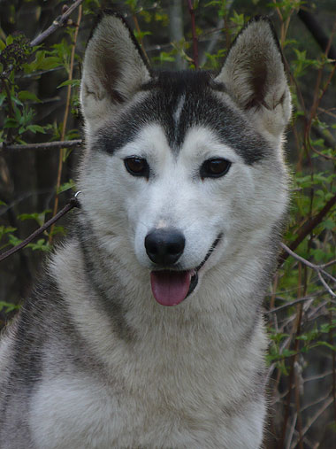 Lance at 2 years old.