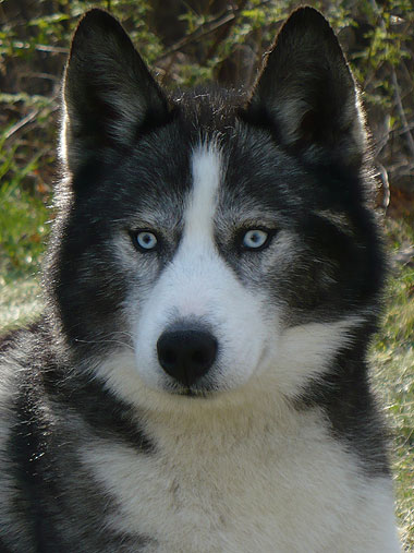 Lucas at 3 years old.