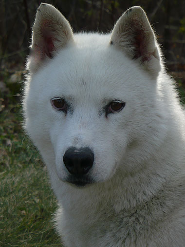 Mark at 6.5 years old.