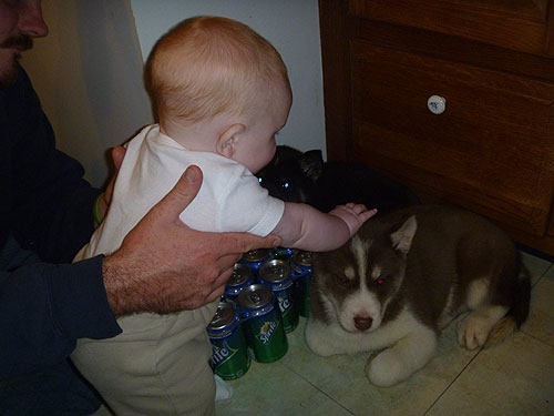 Baby Marc meets the puppies.