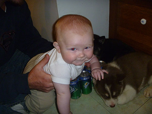 Puppies are fun!