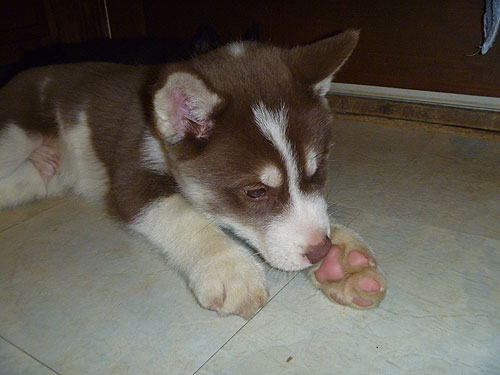 "I have a really cute foot!"