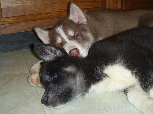 Sisters make good pillows!