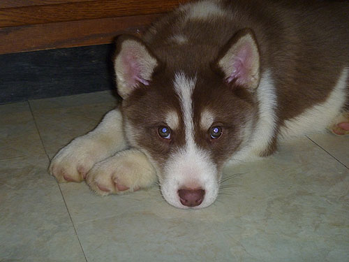 HANDSOME!