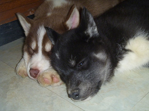 SO CUTE!