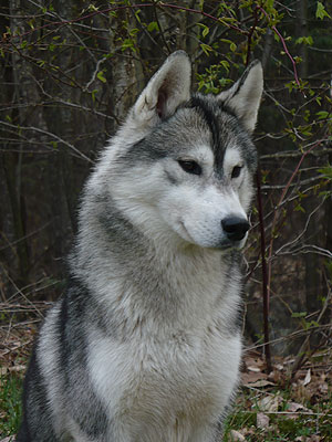 Vince at 2 years old.