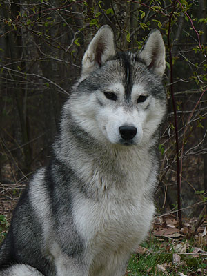 Vince at 2 years old.