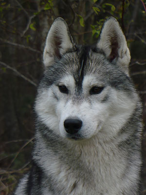 Vince at 2 years old.