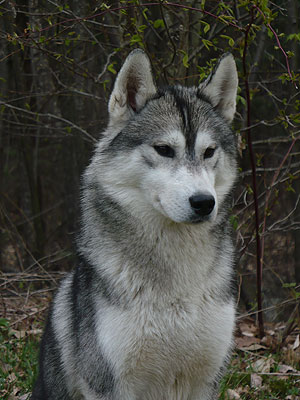 Vince at 2 years old.